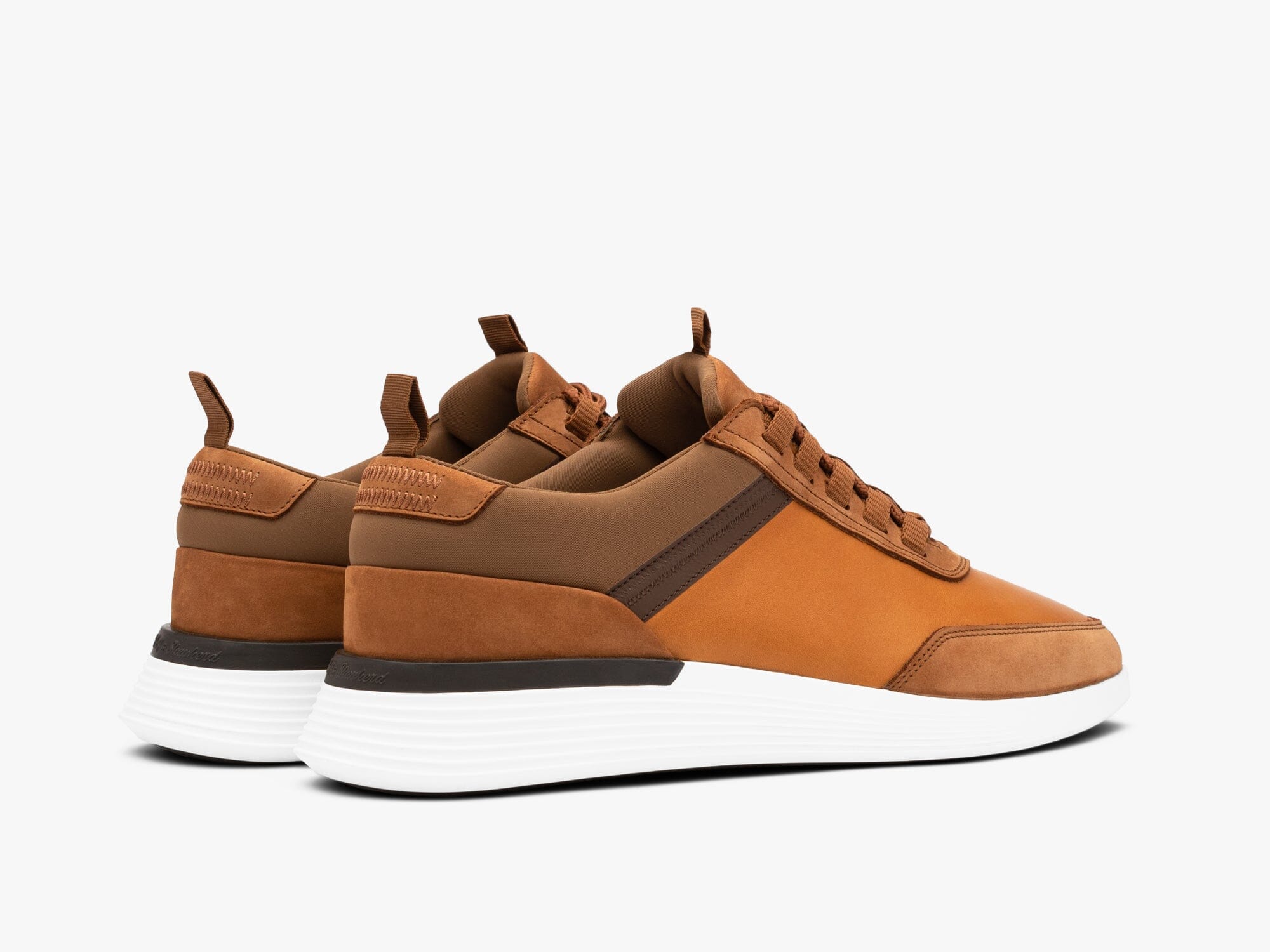 Crossover™ Trainer | Experience Victory | WOLF & SHEPHERD – Wolf